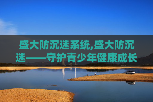 盛大防沉迷系统,盛大防沉迷——守护青少年健康成长的防线