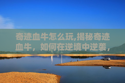 奇迹血牛怎么玩,揭秘奇迹血牛，如何在逆境中逆袭，成为真正的血牛