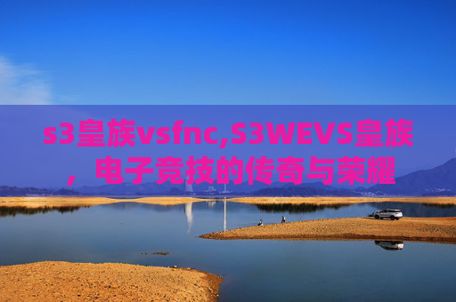 s3皇族vsfnc,S3WEVS皇族，电子竞技的传奇与荣耀