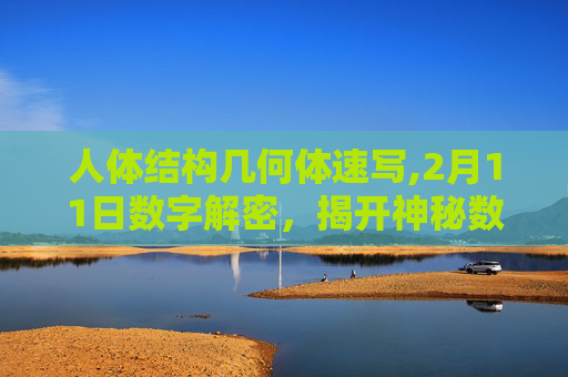人体结构几何体速写,2月11日数字解密，揭开神秘数字背后的奥秘