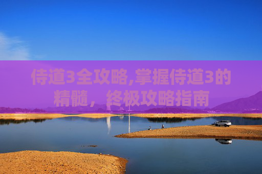 侍道3全攻略,掌握侍道3的精髓，终极攻略指南