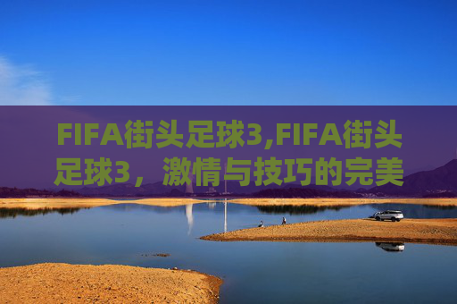 FIFA街头足球3,FIFA街头足球3，激情与技巧的完美融合