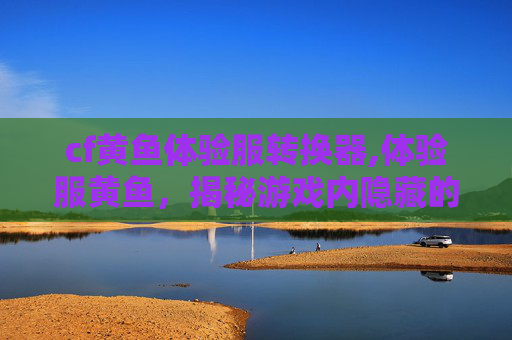 cf黄鱼体验服转换器,体验服黄鱼，揭秘游戏内隐藏的宝藏