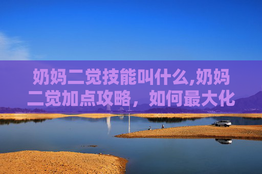 奶妈二觉技能叫什么,奶妈二觉加点攻略，如何最大化你的辅助能力