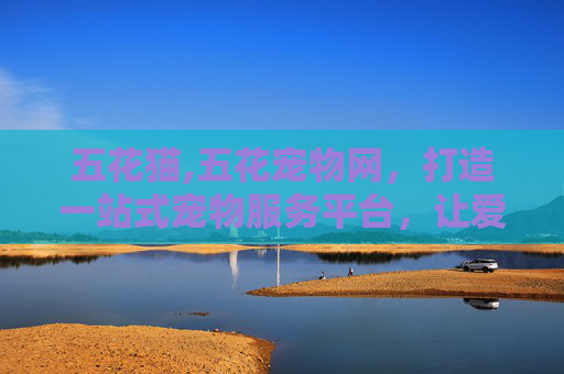 五花猫,五花宠物网，打造一站式宠物服务平台，让爱宠生活更加美好