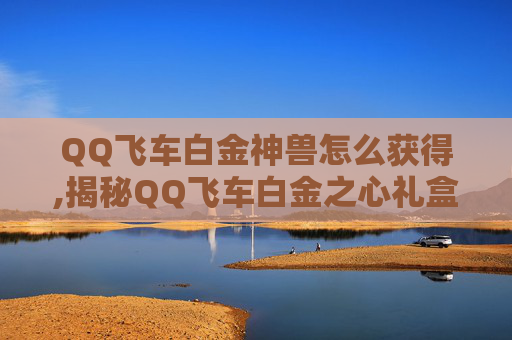 QQ飞车白金神兽怎么获得,揭秘QQ飞车白金之心礼盒，一场速度与激情的盛宴