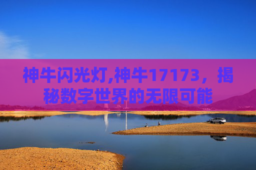 神牛闪光灯,神牛17173，揭秘数字世界的无限可能