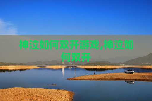 神泣如何双开游戏,神泣如何双开