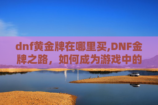 dnf黄金牌在哪里买,DNF金牌之路，如何成为游戏中的金牌玩家