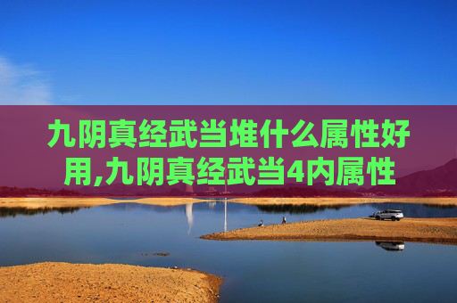 九阴真经武当堆什么属性好用,九阴真经武当4内属性