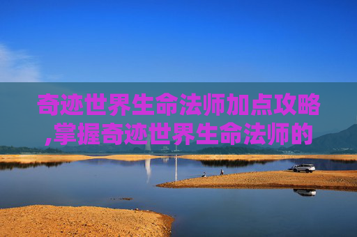 奇迹世界生命法师加点攻略,掌握奇迹世界生命法师的加点艺术