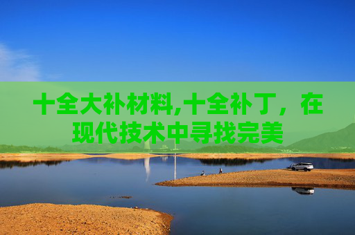 十全大补材料,十全补丁，在现代技术中寻找完美