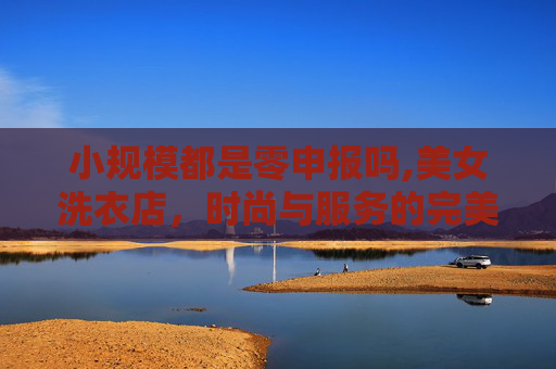 小规模都是零申报吗,美女洗衣店，时尚与服务的完美结合