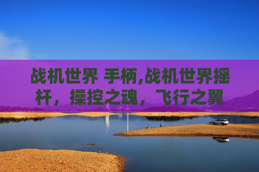 战机世界 手柄,战机世界摇杆，操控之魂，飞行之翼