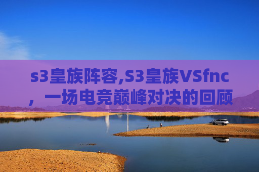 s3皇族阵容,S3皇族VSfnc，一场电竞巅峰对决的回顾与展望