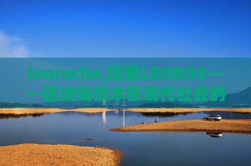 leoroche,探索LEOROC——区块链技术在现代社会的应用与影响