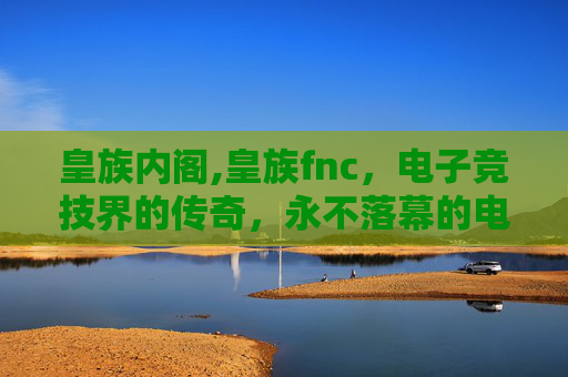 皇族内阁,皇族fnc,电子竞技界的传奇,永不落幕的电竞盛宴 皇族内阁,皇族fnc,电子竞技界的传奇,永不落幕的电竞盛宴
