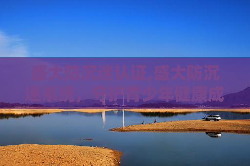 盛大防沉迷认证,盛大防沉迷系统，守护青少年健康成长的守护神