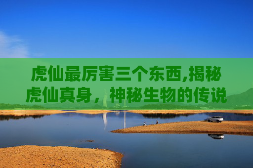 虎仙最厉害三个东西,揭秘虎仙真身，神秘生物的传说与现实