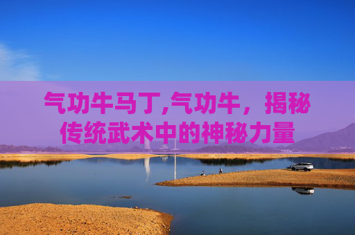 气功牛马丁,气功牛，揭秘传统武术中的神秘力量