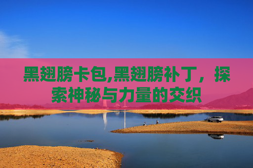 黑翅膀卡包,黑翅膀补丁，探索神秘与力量的交织