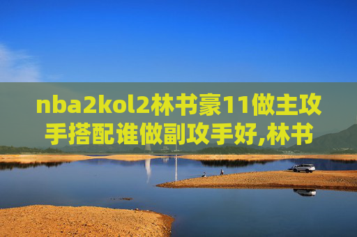 nba2kol2林书豪11做主攻手搭配谁做副攻手好,林书豪，篮球场上的传奇，2K11游戏下的不屈战士