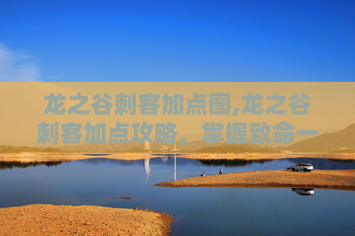 龙之谷刺客加点图,龙之谷刺客加点攻略，掌握致命一击的秘诀