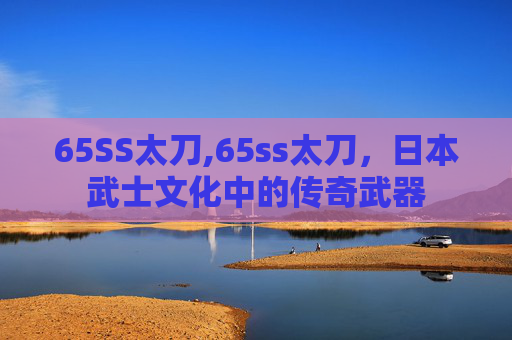 65SS太刀,65ss太刀，日本武士文化中的传奇武器