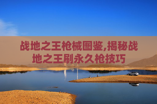 战地之王枪械图鉴,揭秘战地之王刷永久枪技巧