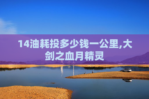 14油耗投多少钱一公里,大剑之血月精灵