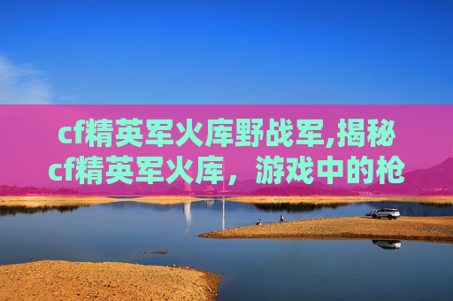 cf精英军火库野战军,揭秘cf精英军火库，游戏中的枪械收藏与策略