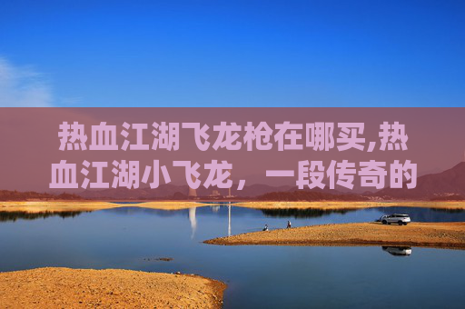 热血江湖飞龙枪在哪买,热血江湖小飞龙，一段传奇的旅程