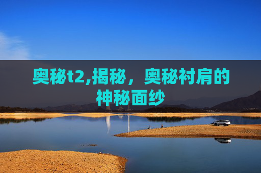 奥秘t2,揭秘，奥秘衬肩的神秘面纱