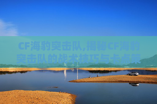 CF海豹突击队,揭秘CF海豹突击队的战术技巧与卡点策略