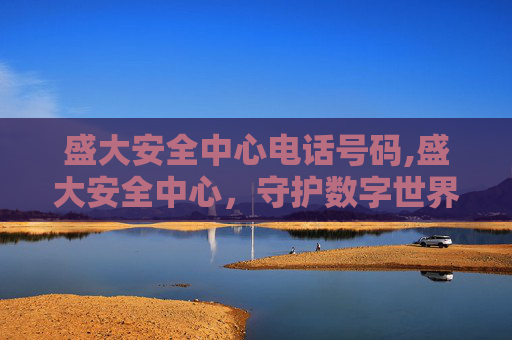 盛大安全中心电话号码,盛大安全中心，守护数字世界的盾牌