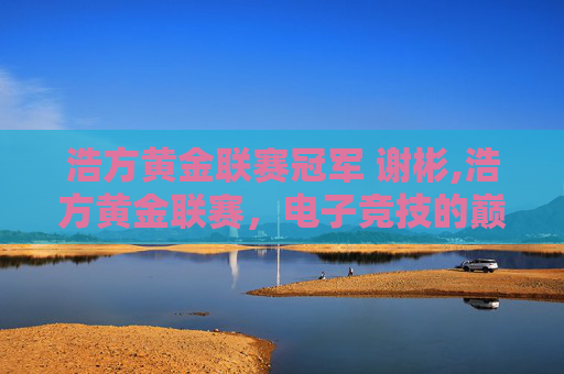 浩方黄金联赛冠军 谢彬,浩方黄金联赛，电子竞技的巅峰对决，电竞新星的诞生地
