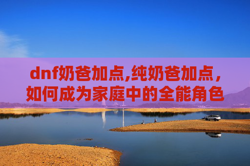 dnf奶爸加点,纯奶爸加点，如何成为家庭中的全能角色？