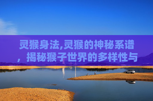 灵猴身法,灵猴的神秘系谱，揭秘猴子世界的多样性与智慧