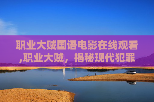 职业大贼国语电影在线观看,职业大贼，揭秘现代犯罪世界的幕后黑手