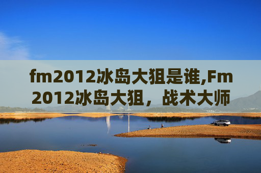 fm2012冰岛大狙是谁,Fm2012冰岛大狙，战术大师的终极武器