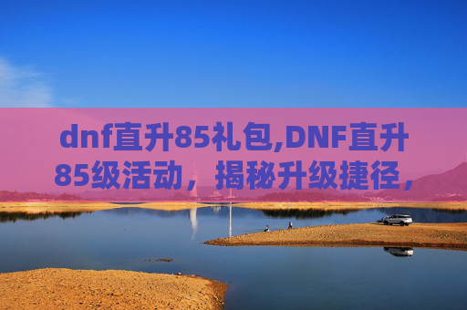 dnf直升85礼包,DNF直升85级活动，揭秘升级捷径，让你更快体验游戏巅峰！