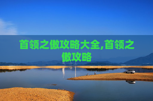 首领之傲攻略大全,首领之傲攻略