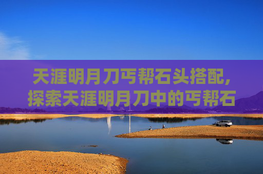天涯明月刀丐帮石头搭配,探索天涯明月刀中的丐帮石头系统，深度解析与实用指南
