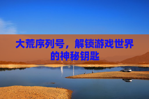 大荒序列号，解锁游戏世界的神秘钥匙