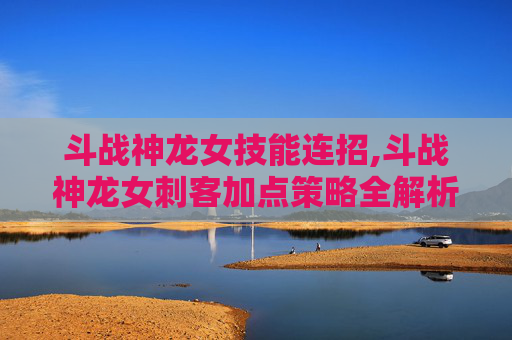 斗战神龙女技能连招,斗战神龙女刺客加点策略全解析
