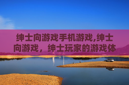 绅士向游戏手机游戏,绅士向游戏，绅士玩家的游戏体验与文化现象