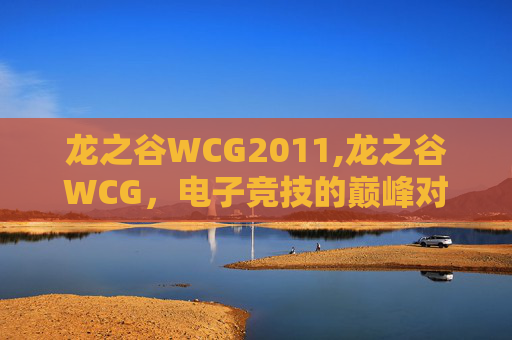 龙之谷WCG2011,龙之谷WCG，电子竞技的巅峰对决