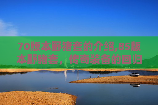 70版本野猪套的介绍,85版本野猪套，传奇装备的回归与挑战