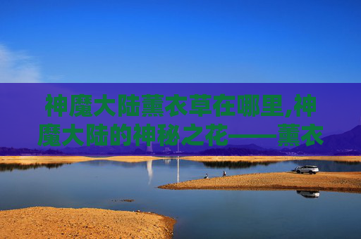 神魔大陆薰衣草在哪里,神魔大陆的神秘之花——薰衣草