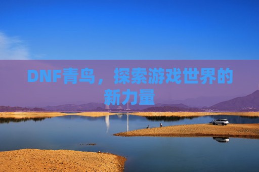 DNF青鸟，探索游戏世界的新力量